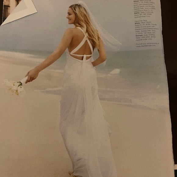 David’s Bridal Galina Chiffon & Beaded Beach style White Wedding Dress - Picture 7 of 10